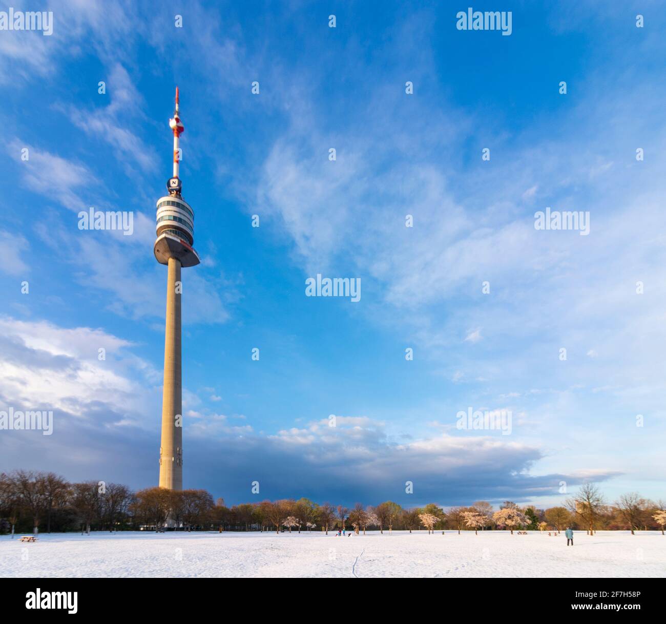 Wien, Vienne: Cerisiers en fleurs et neige au parc Donaupark, Donauturm (Tour du Danube) en 22. Donaustadt, Wien, Autriche Banque D'Images