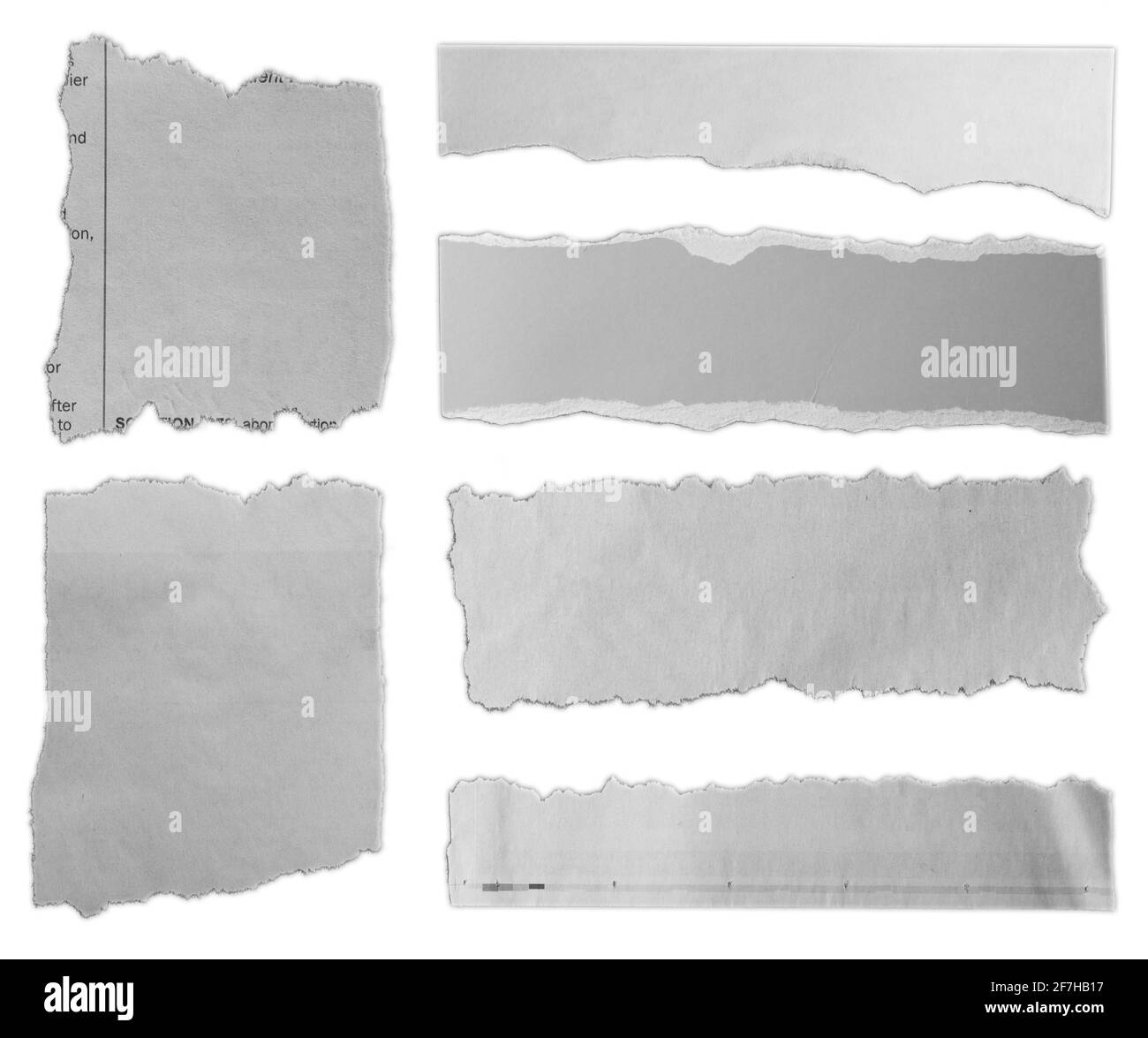 Six morceaux de papier déchiré sur fond uni Banque D'Images