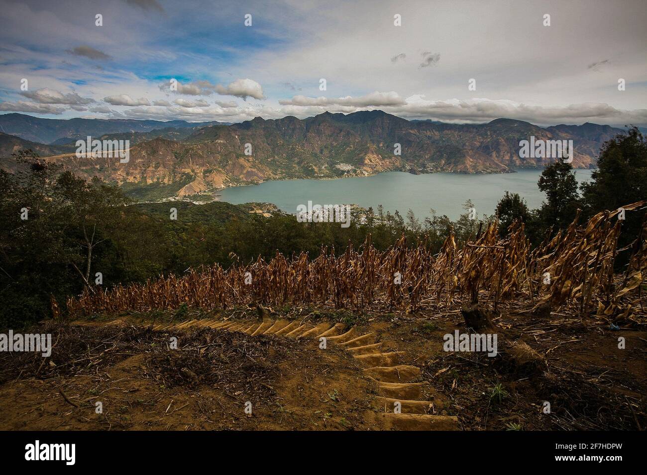 Panorama du lac Lago de Atitlan ou du lac Atitlan vu de la descente du volcan San Pedro. Les villages de San Pedro et Panajachel sont vus. Banque D'Images