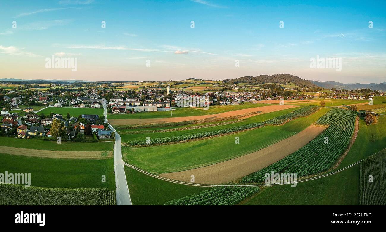 Panorama en soirée de Sankt Georgen à Attergau, un village de taille moyenne à Salzkammergut en Autriche. Ville ou village entouré de champs de maïs vert dans Banque D'Images