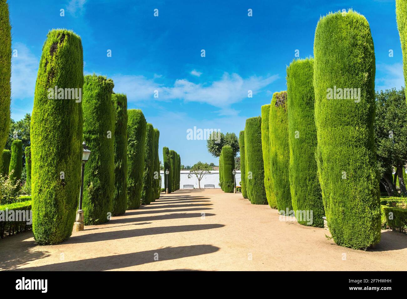Jardins de l'Alcazar de los Reyes Cristianos à Cordoue en une belle journée d'été, Espagne Banque D'Images