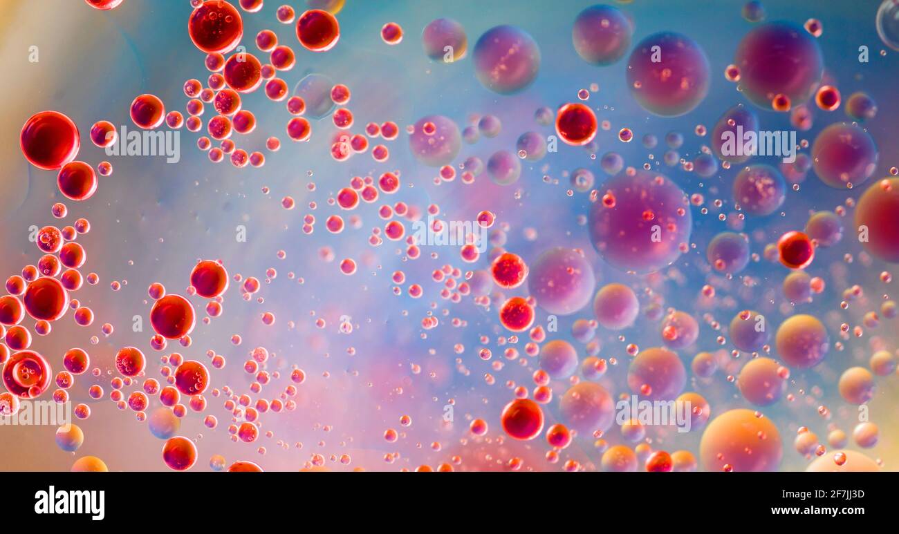 Gouttes d'huile sur la surface de l'eau colorée avec gradient background Banque D'Images