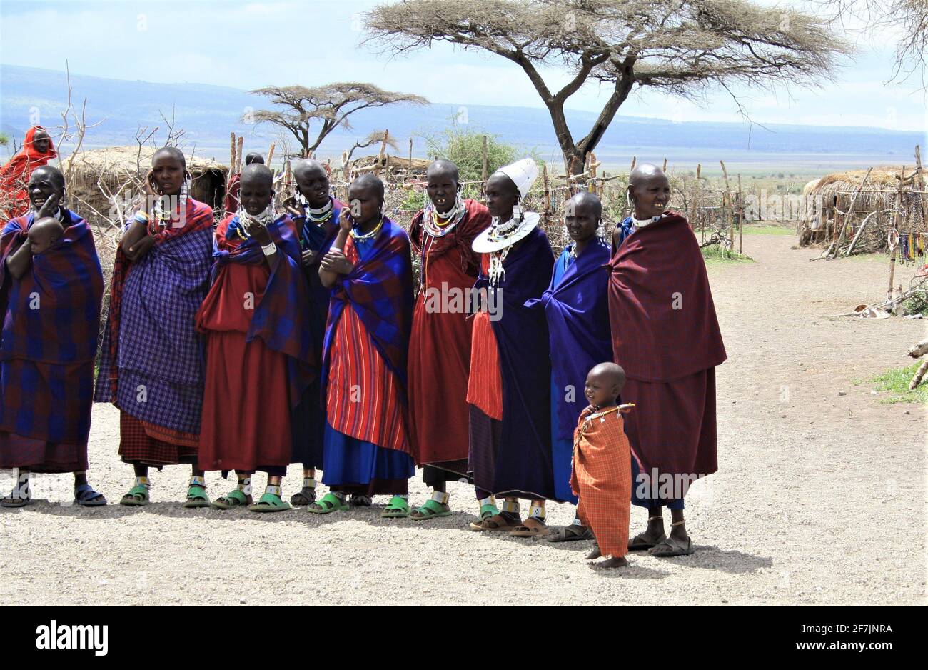 Fier guerrier Masai montrant sa lance mortelle et son bouclier en Tanzanie, en Afrique. Banque D'Images