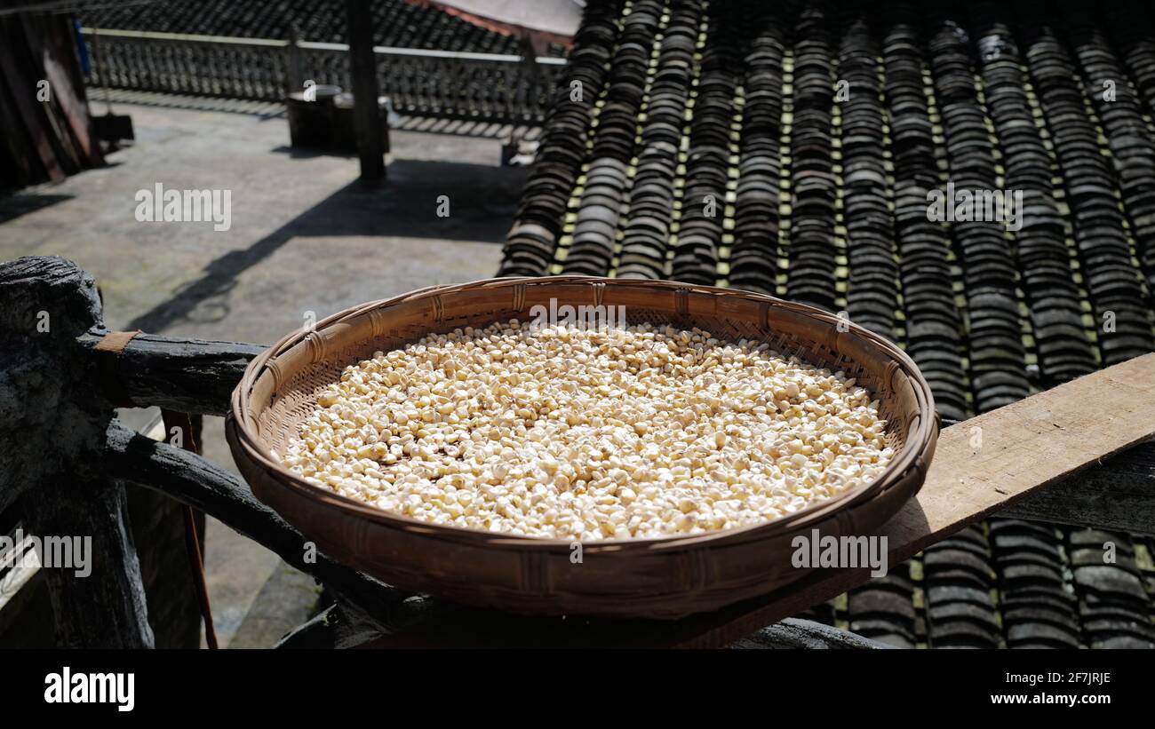 Les matériaux de médecine traditionnelle chinoise sont secs au soleil. Banque D'Images
