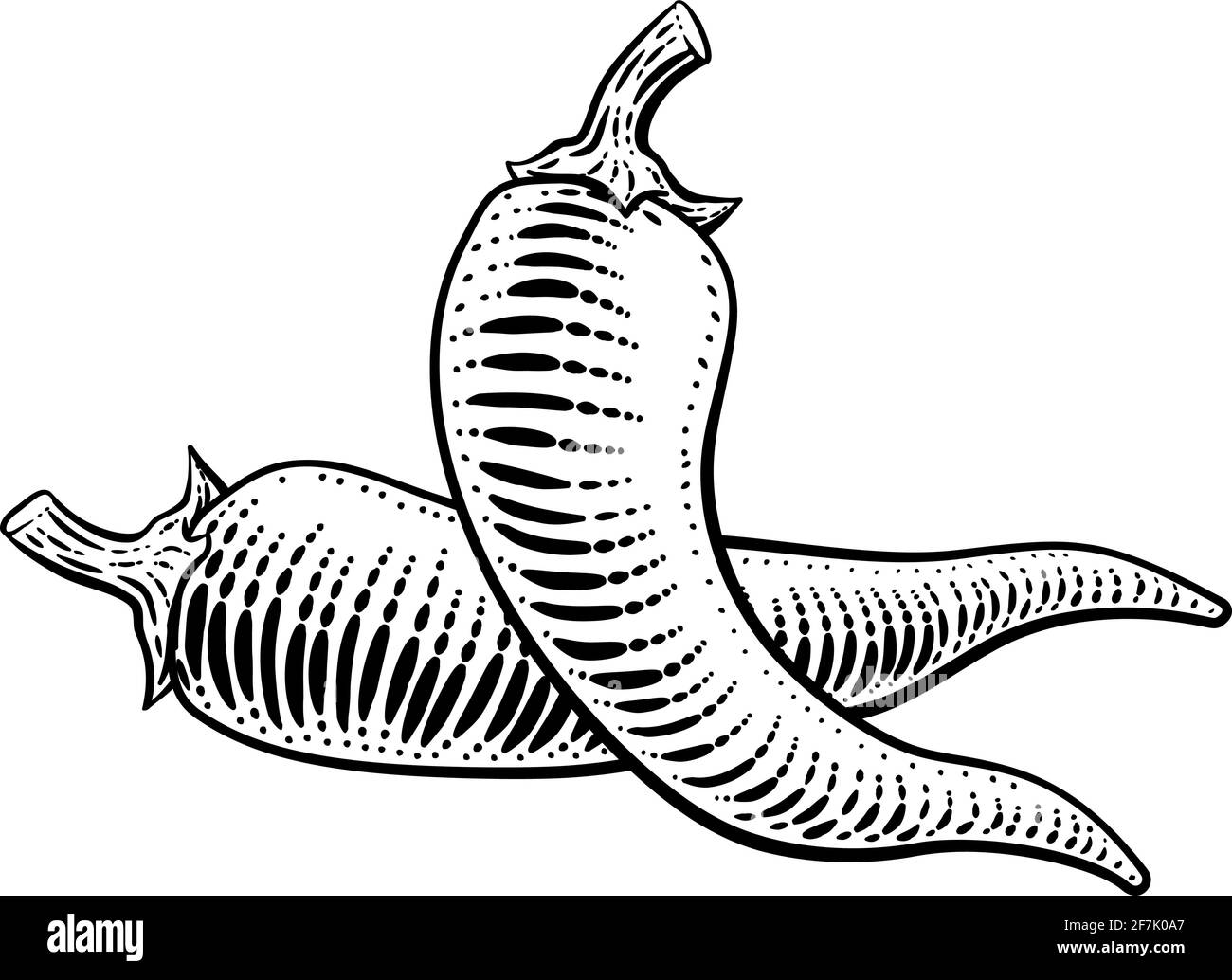 Illustration de la coupe de bois Vintage Pepper Vegetable Illustration de Vecteur