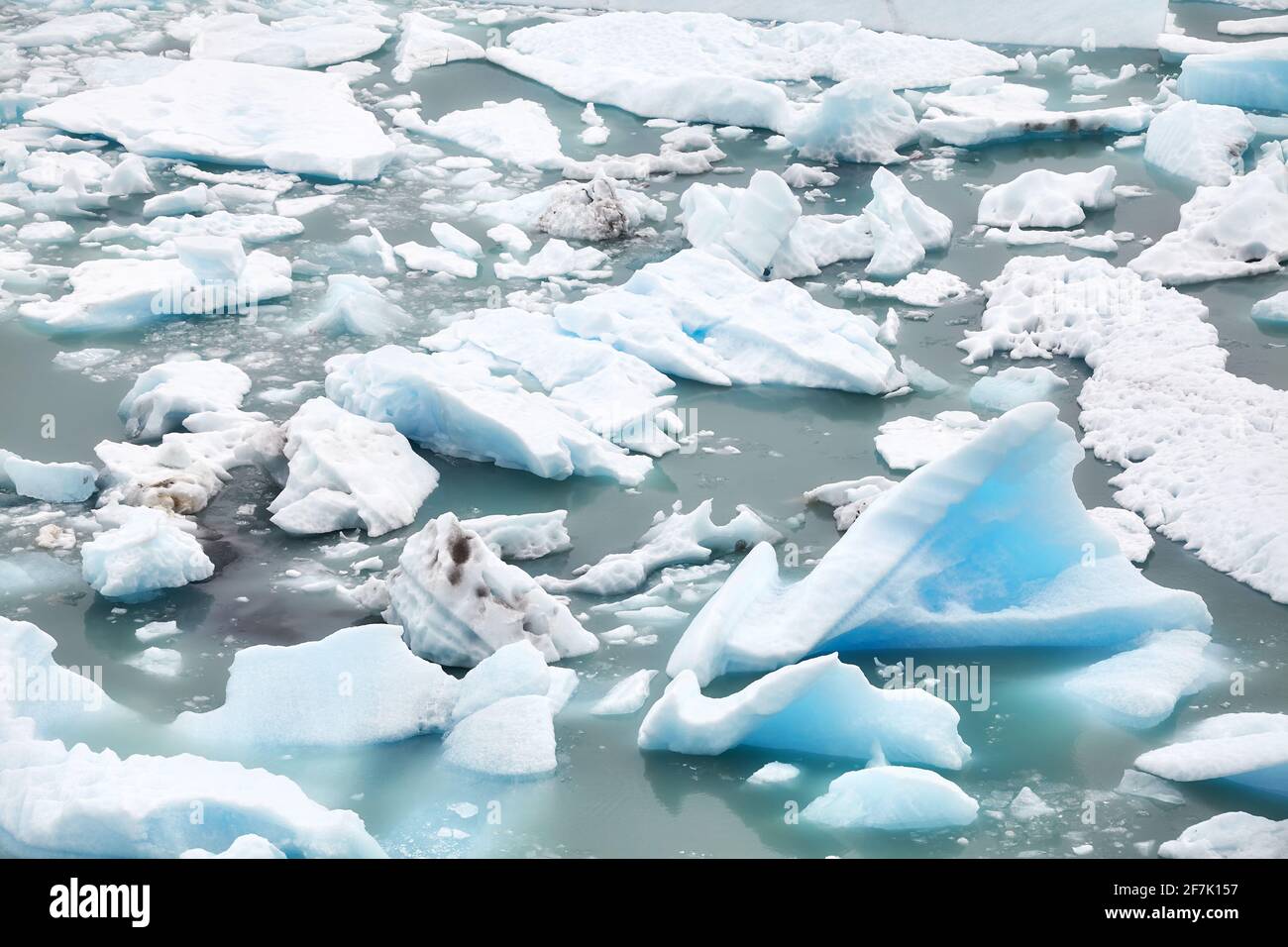 Morceaux de glace provenant de la fonte du glacier dans l'eau. Banque D'Images