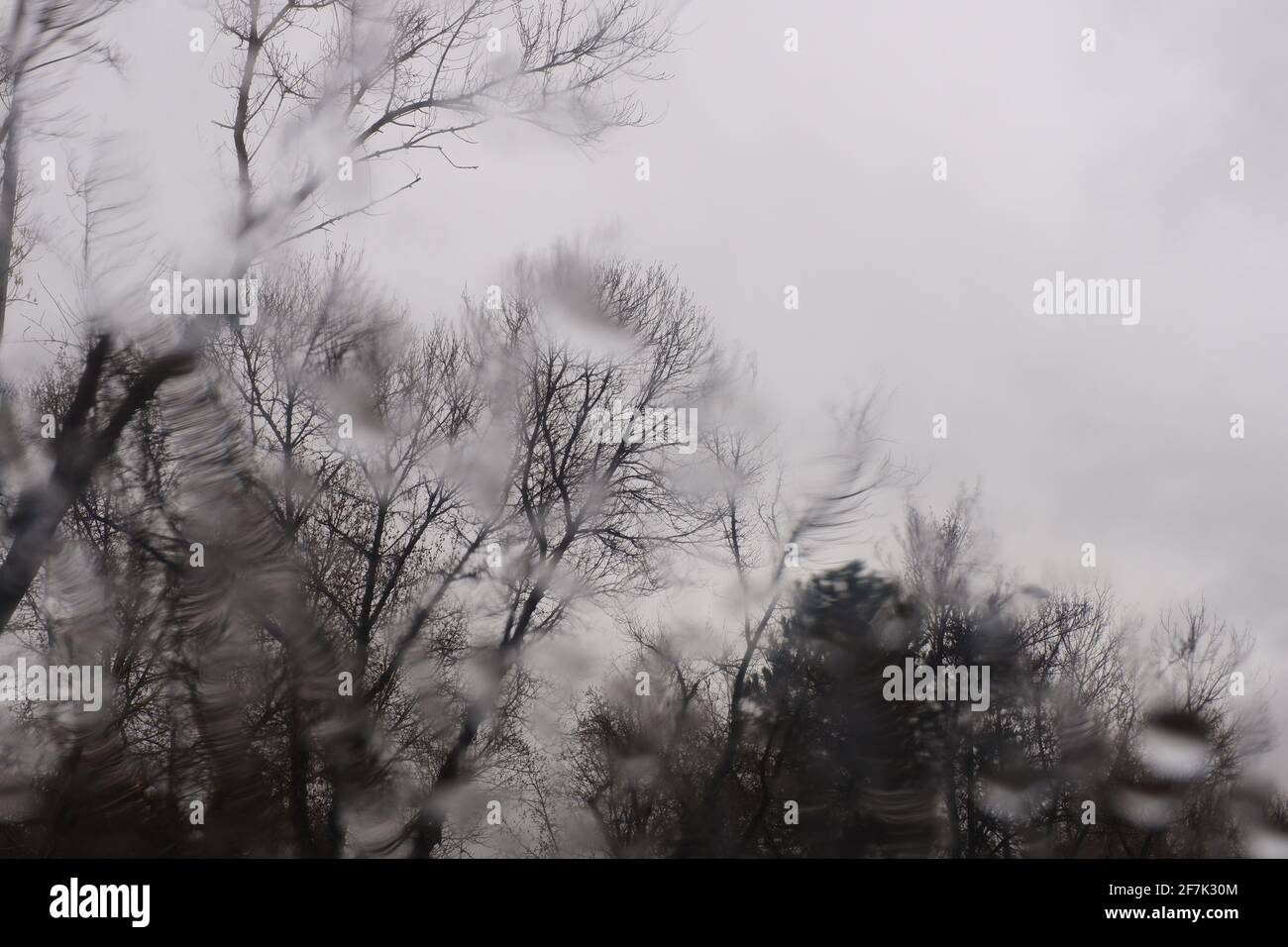 Gouttes d'eau sur la fenêtre lors d'un jour de pluie ; arbres par temps nuageux Banque D'Images