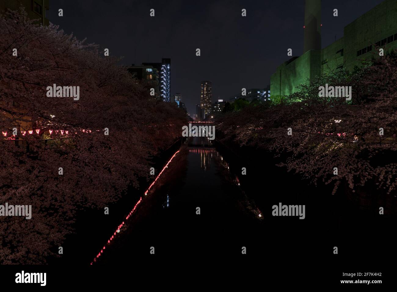 Meguro la nuit. Lanternes d'chin japonais au milieu de sakura et de cerisiers en fleurs. Fleurs rose et magenta illuminées reflétées dans la rivière. Banque D'Images