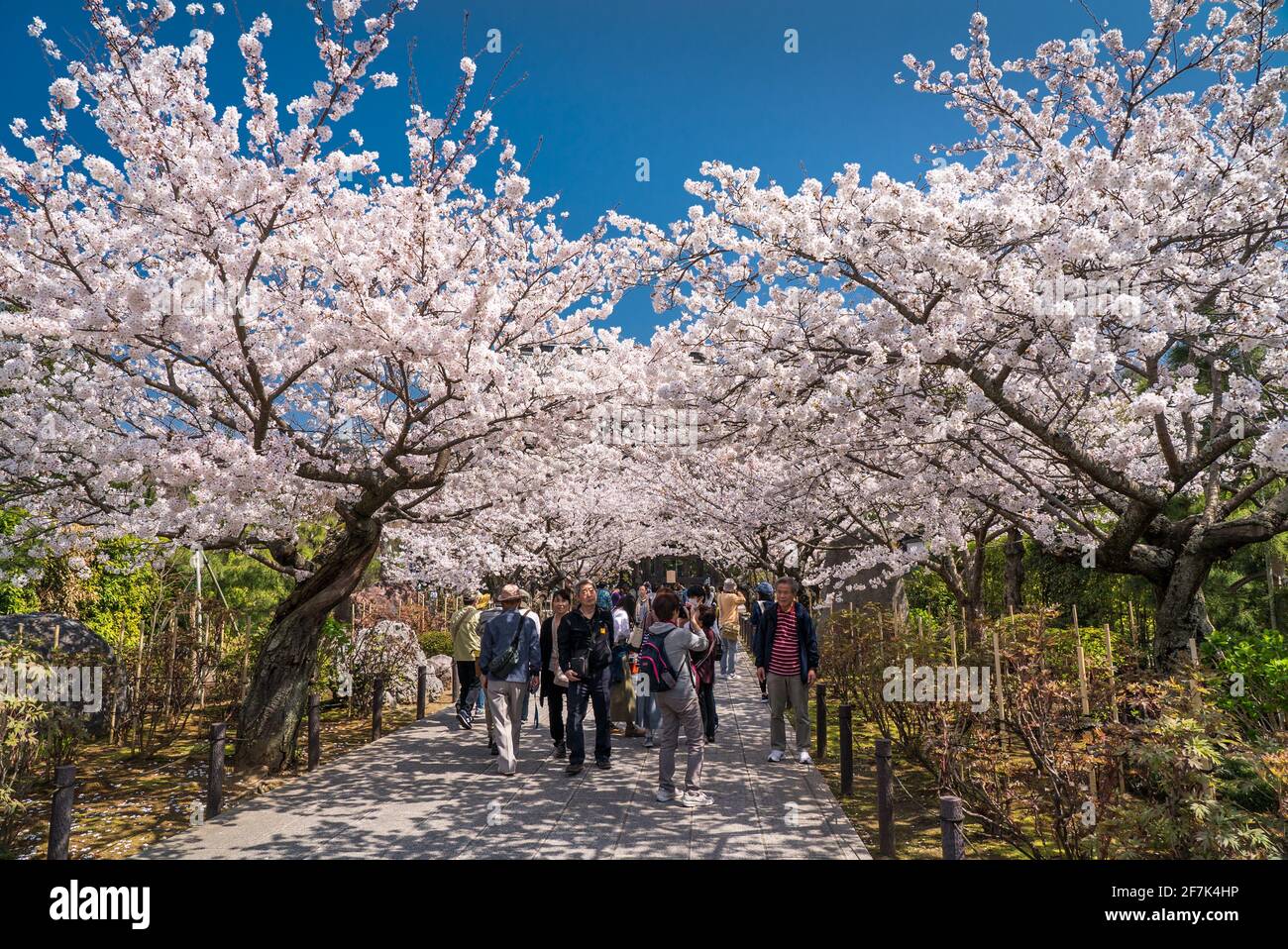 Sous culture japonaise Banque de photographies et d’images à haute