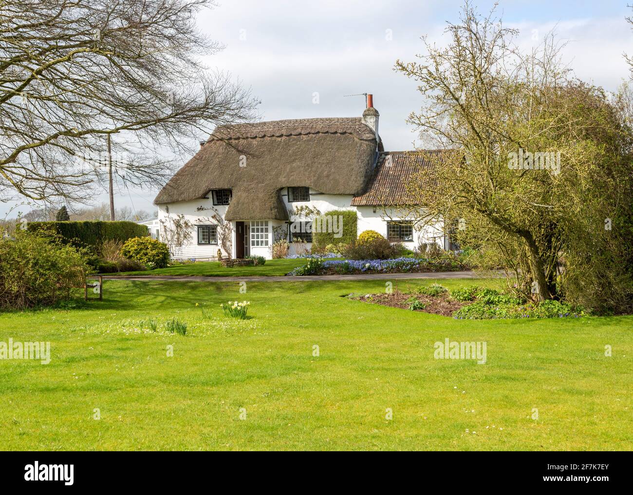 Jolie maison de campagne blanchie à la chaux au printemps, Cherhill, Wiltshire, Angleterre, Royaume-Uni Banque D'Images