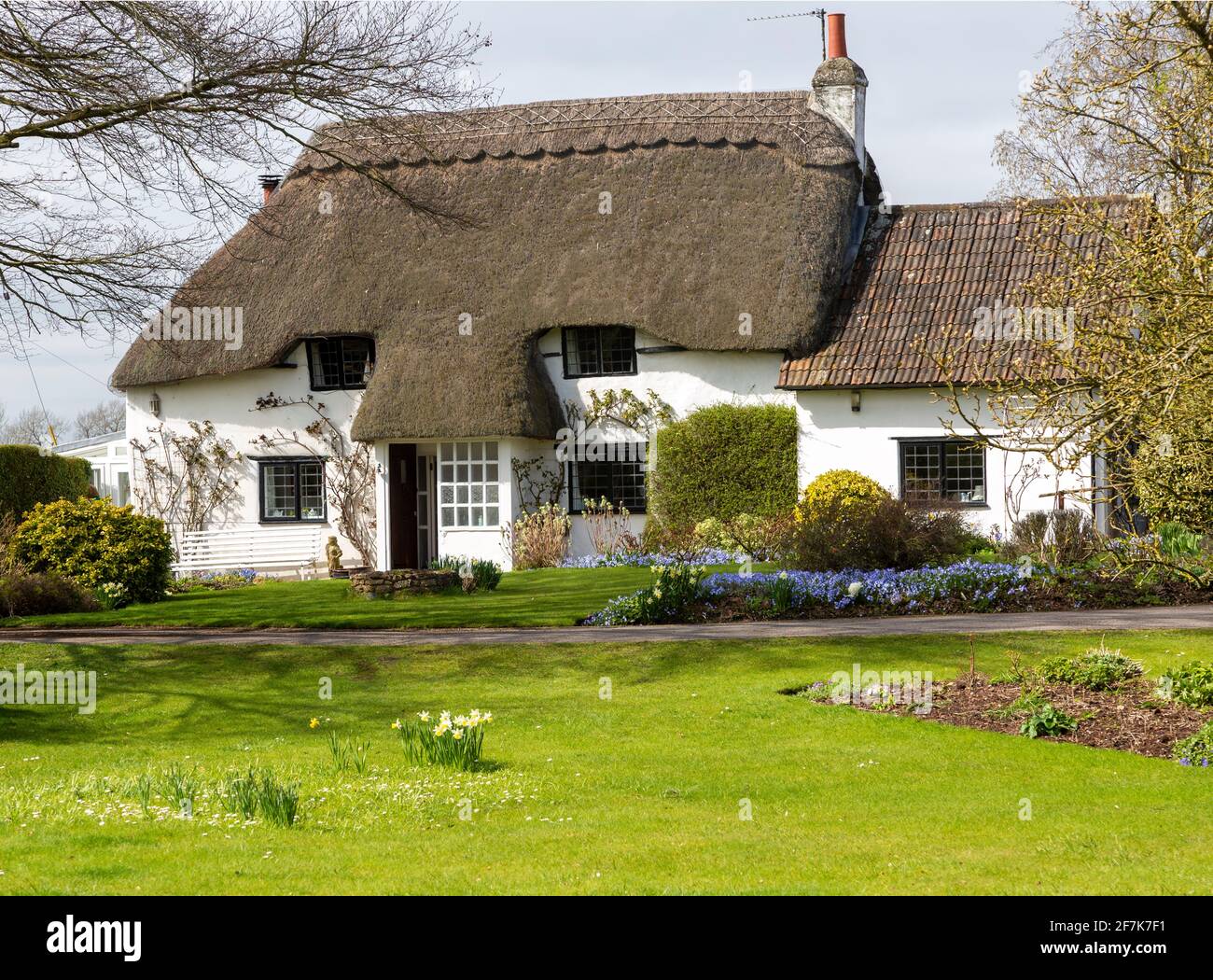 Jolie maison de campagne blanchie à la chaux au printemps, Cherhill, Wiltshire, Angleterre, Royaume-Uni Banque D'Images