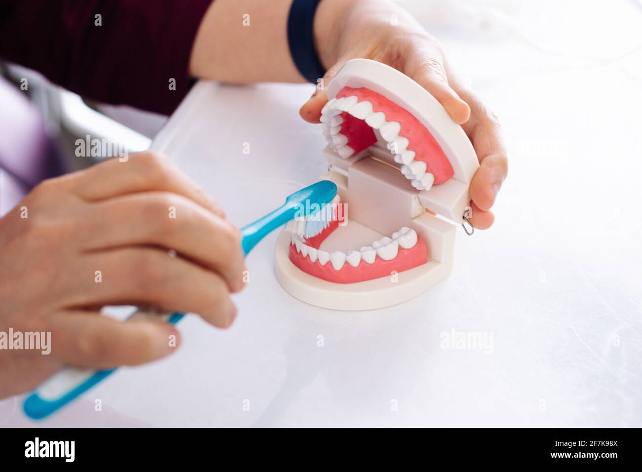 Le dentiste montre sur le modèle de la mâchoire comment pour brosser les dents à l'aide d'une brosse Banque D'Images