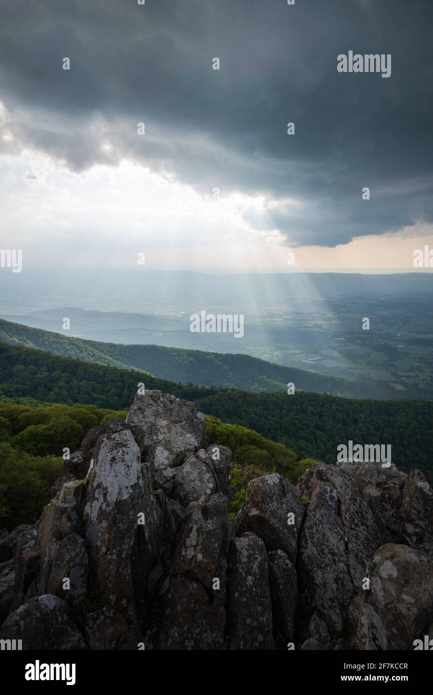 Des rayons lumineux remplissant la vallée de Shenandoah lors d'un après-midi de tempête dans le parc national de Shenandoah, vus de Stony Man Mountain. Banque D'Images