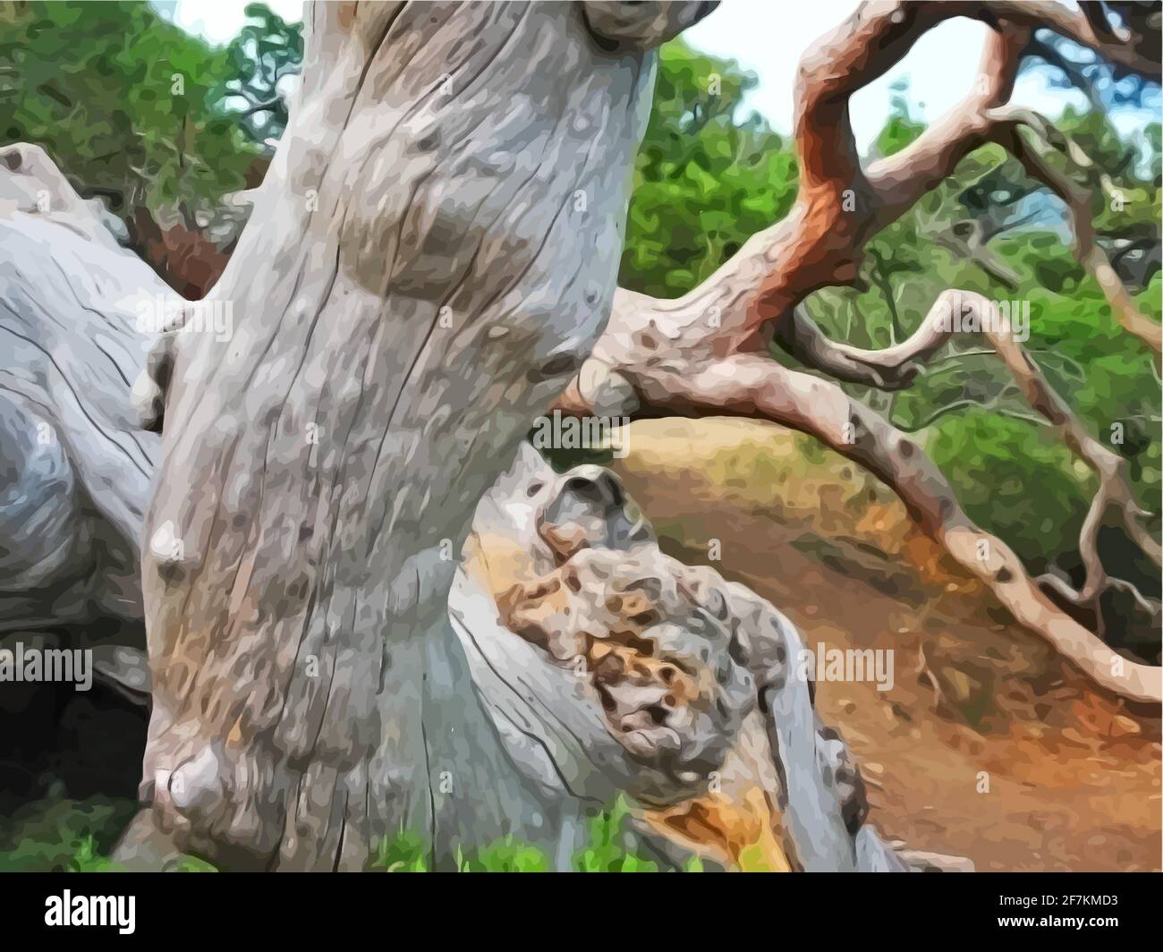 Un chemin dans la forêt avec des arbres richement ornés Illustration de Vecteur