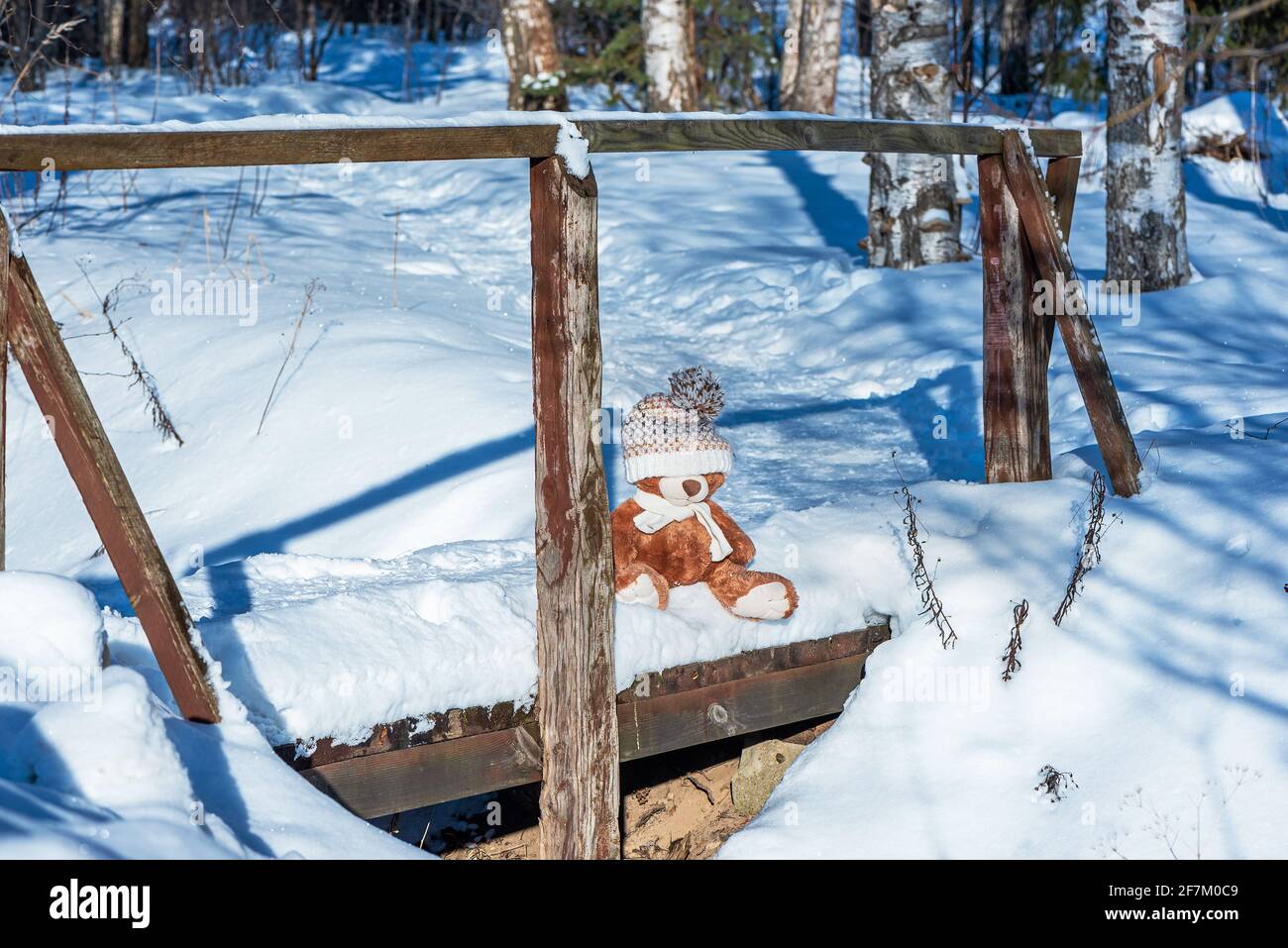 Un ours en peluche farci portant une écharpe et un chapeau est assis sur la neige dans la forêt d'hiver par temps ensoleillé. Banque D'Images