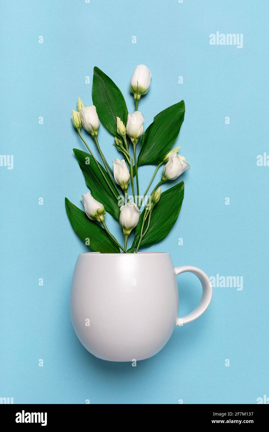 Bouton blanc eustoma fleur dans thé café tasse mug gros plan. Studio vertical sur fond bleu clair. Concept de printemps, verdure, floraison, floraison Banque D'Images