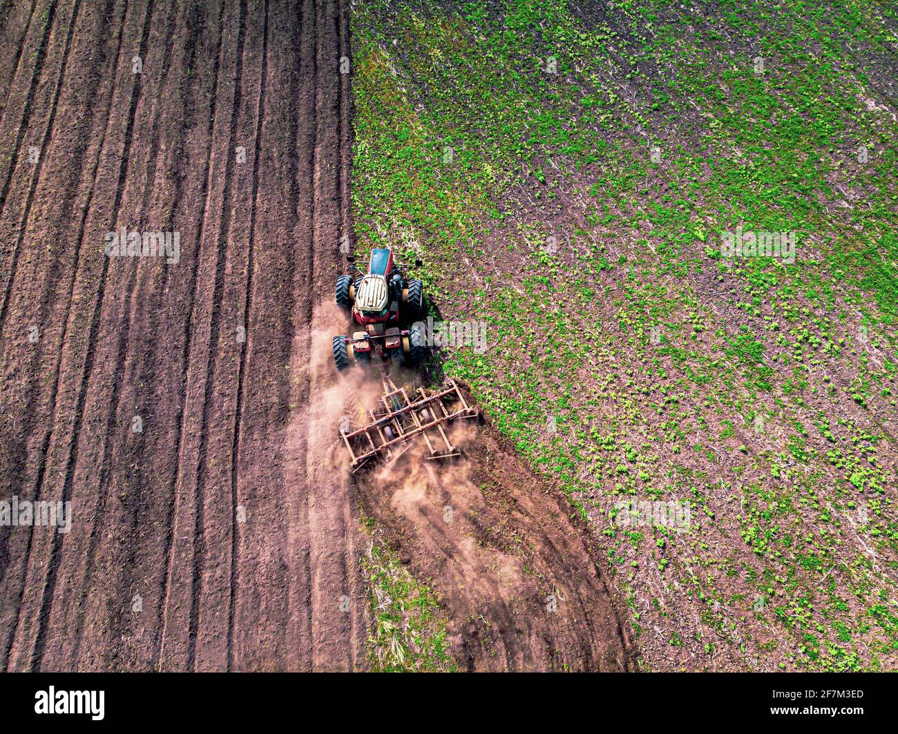Machine agricole récolte la récolte dans les champs. Le tracteur tire le mécanisme pour la fabrication de la haymaise. La récolte en automne le matin à l'aube Banque D'Images