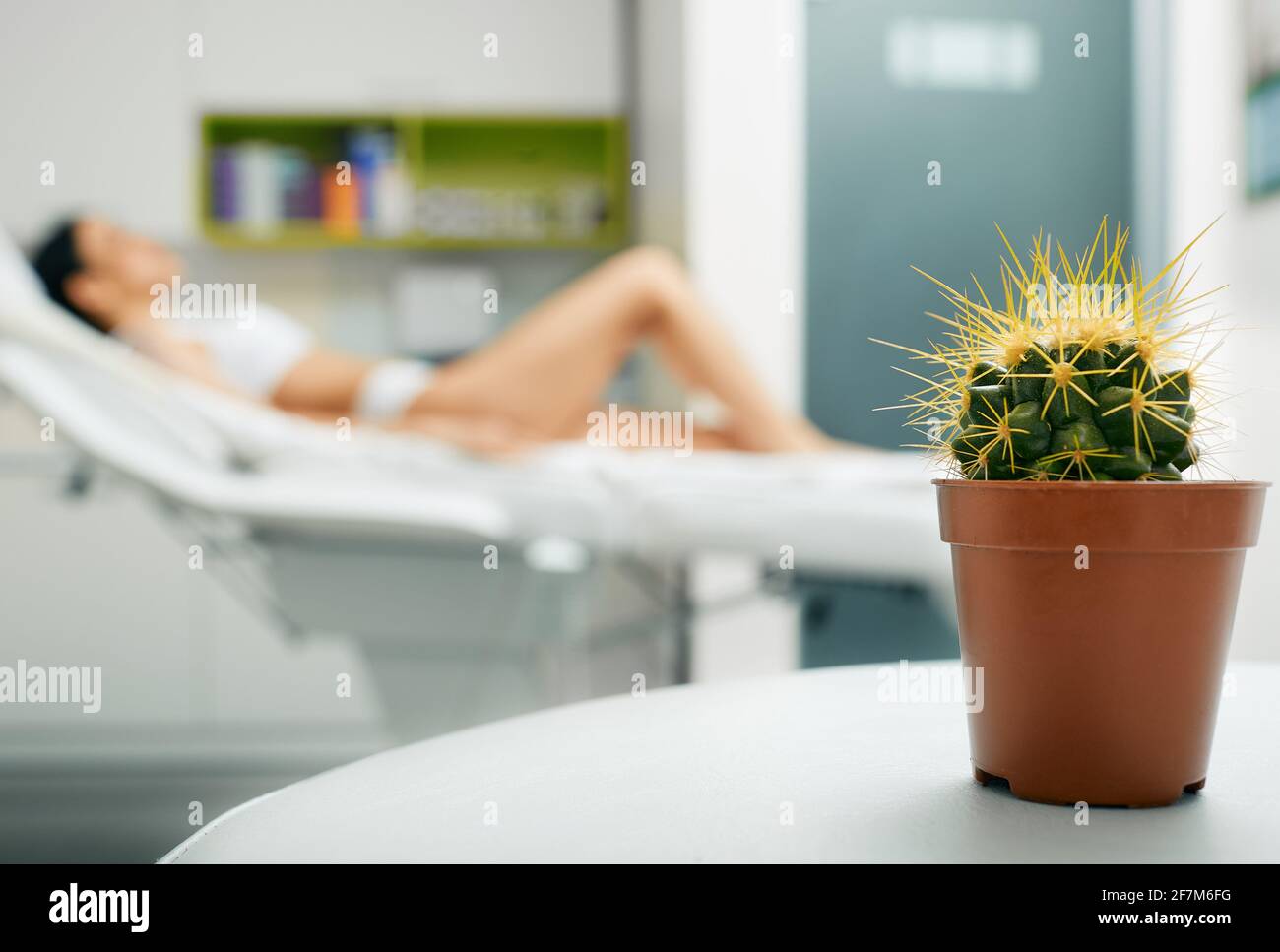 Concept d'épilation au laser. Cactus sur le fond d'une femme au salon de beauté pendant l'épilation des cheveux Banque D'Images
