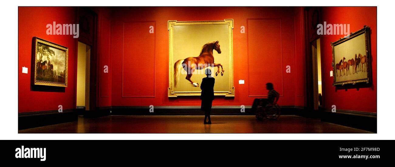 Les Stubbs et le cheval... 'Whistlewant' (peinture centrale) par George Stubbs dans l'aile Sainsbury de la Galerie nationale..29 juin - 25 septembre..pic David Sandison 20/6/2005 Banque D'Images