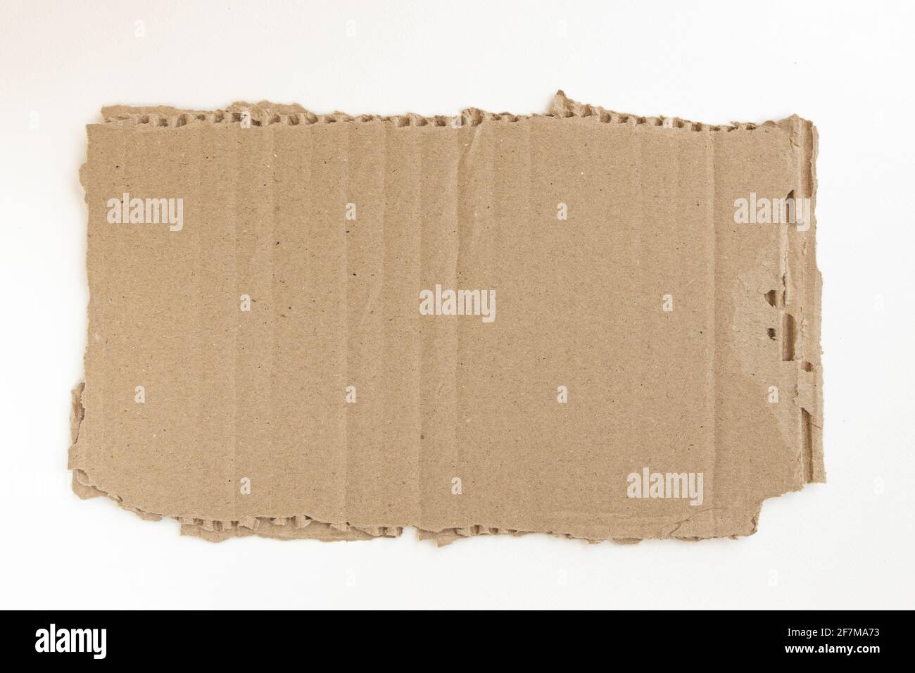 morceau de carton déchiré isolé sur fond blanc, carton avec bords déchirés, vue de dessus Banque D'Images