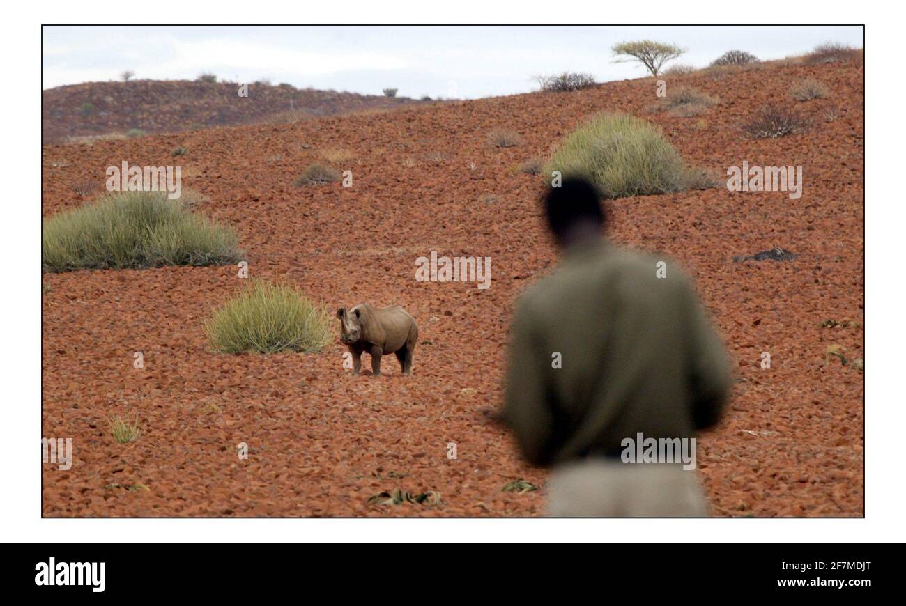 Appel de Noël indépendant...... Développement rural intégré et conservation de la nature (IRDNC) en Namibie.Fillimon Nuab un dispositif de suivi Rhino travaillant pour l'IRDNC garde un onglet étroit sur Rhino dans la province de Kunene, dans le nord-ouest de la Namibie, Dans le cadre de leur programme, les collectivités locales deviennent responsables de la conservation et de la gestion de leur faune. Photographie par David Sandison novembre 2004 Banque D'Images