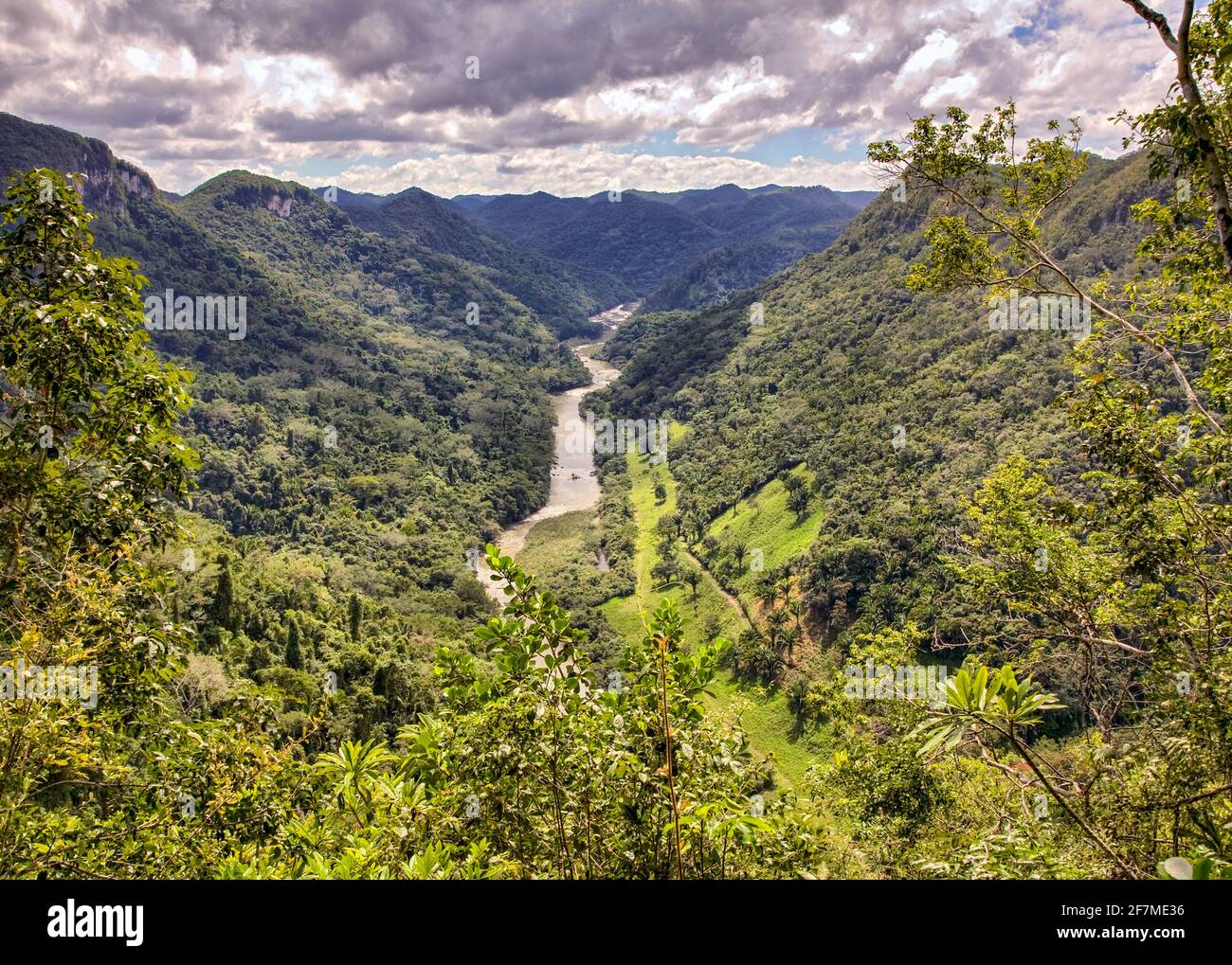 La rivière Macal coule à travers les collines boisées de pluie de Centre du Belize Banque D'Images