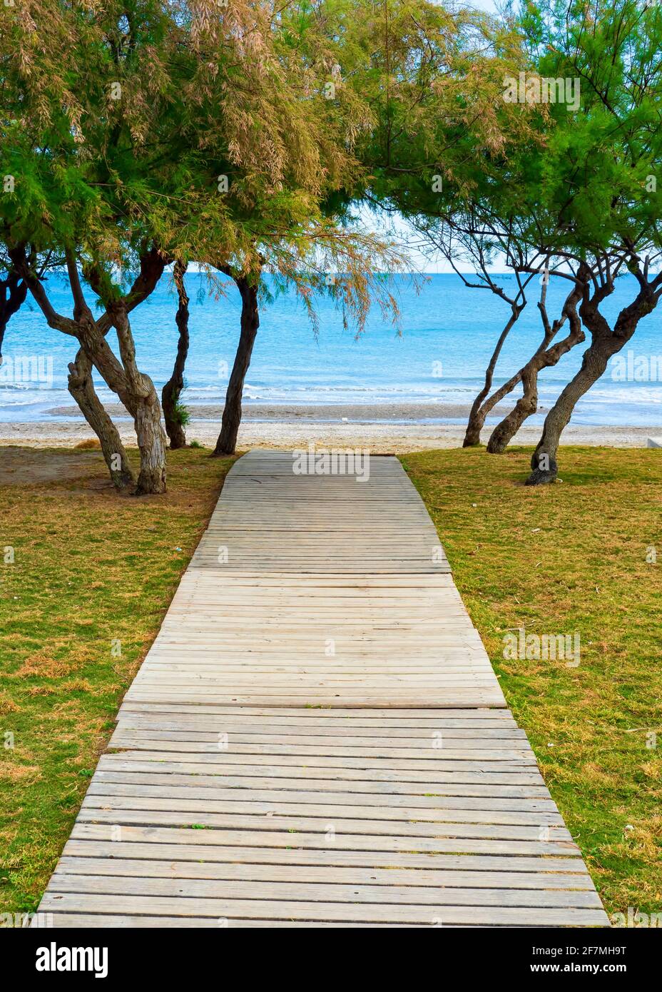 Chemin en bois vers la plage à travers les arbres Banque D'Images