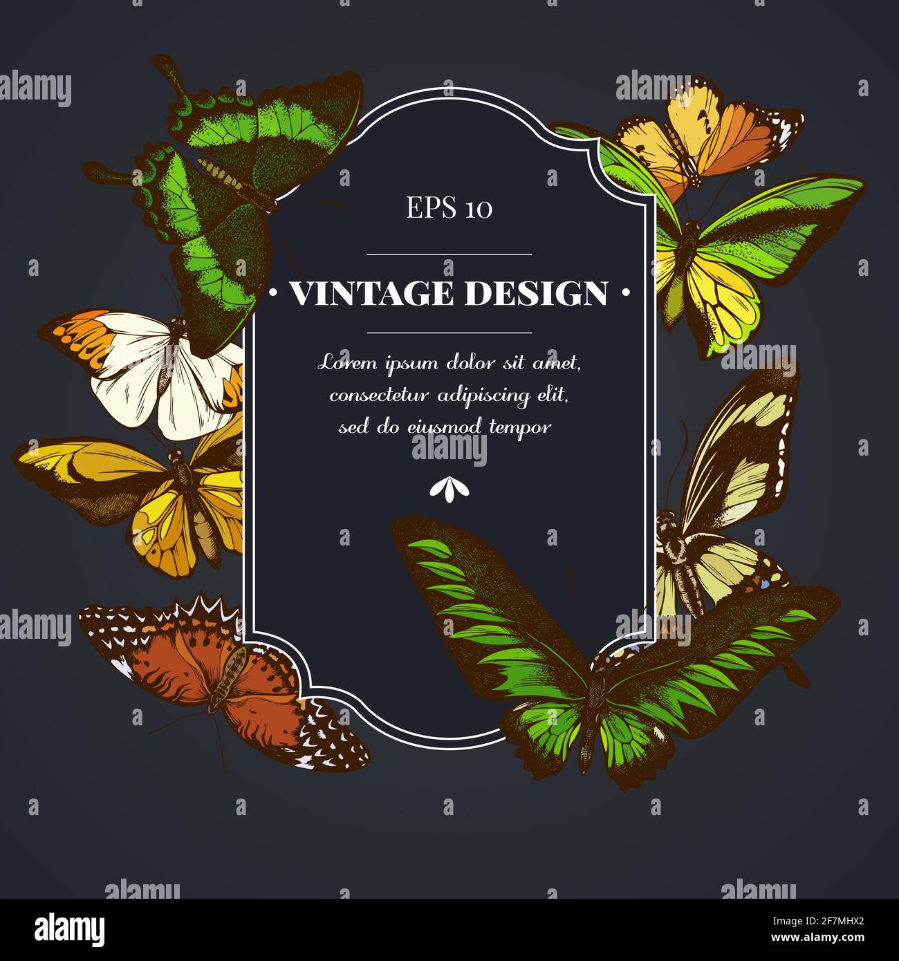 Badge sombre à pointe orange, queue d'allowtail émeraude, reines de la jungle, tigre Uni, aile d'oiseaux de rajah brooke, papillio torquatus, queue d'allowtail Illustration de Vecteur