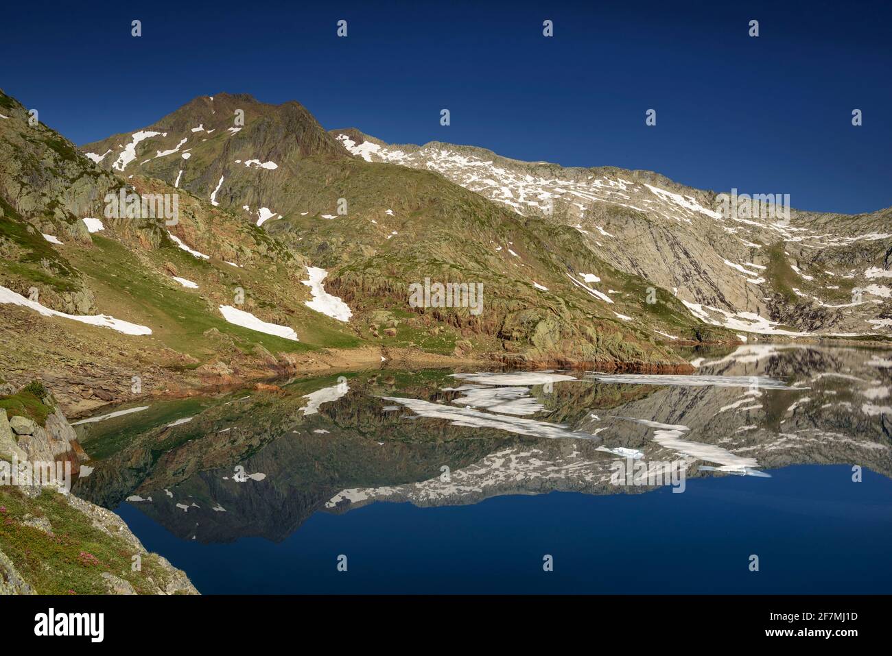 Lac Certascan en été, dans les Pyrénées catalanes (Parc naturel Alt Pirineu, Catalogne, Espagne, Pyrénées) ESP: Estany de Certascan en verano (Pirineos) Banque D'Images