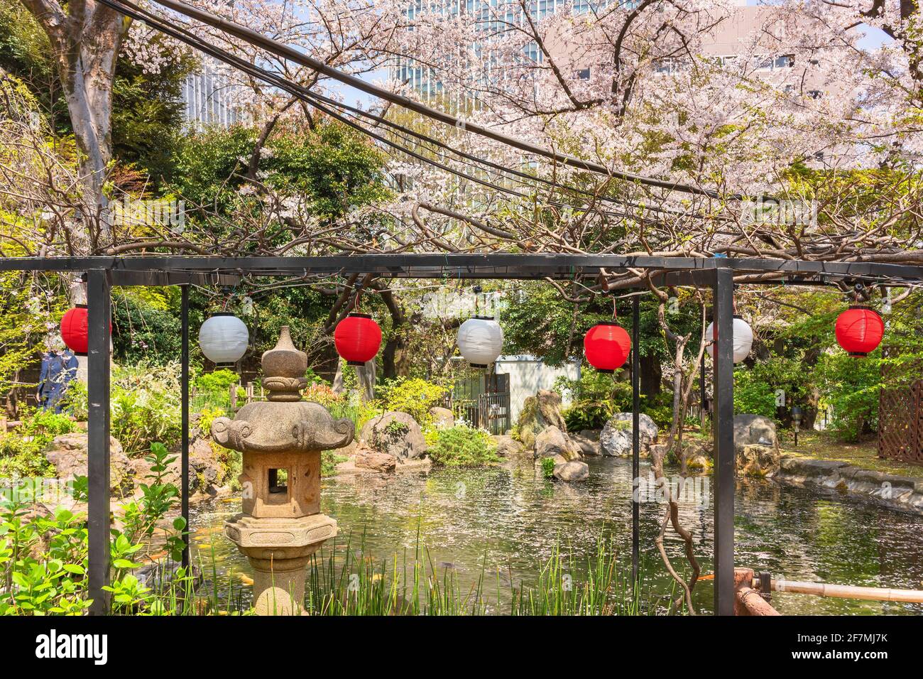 tokyo, japon - mars 31 2021: Lanterne en pierre de style japonais kasuga et lanternes en papier d'chin devant l'étang du sanctuaire ATAGO couvert par la chute de c Banque D'Images