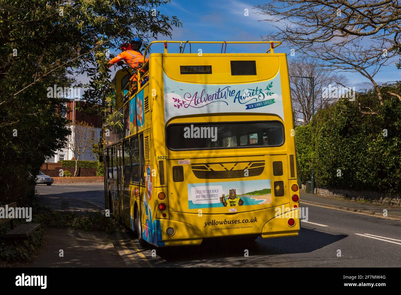 En avril, les bus jaunes à impériale à toit ouvert permettent de couper les arbres suspendus en arrière pour les bus à passer à Bournemouth, dans le Dorset, au Royaume-Uni Banque D'Images