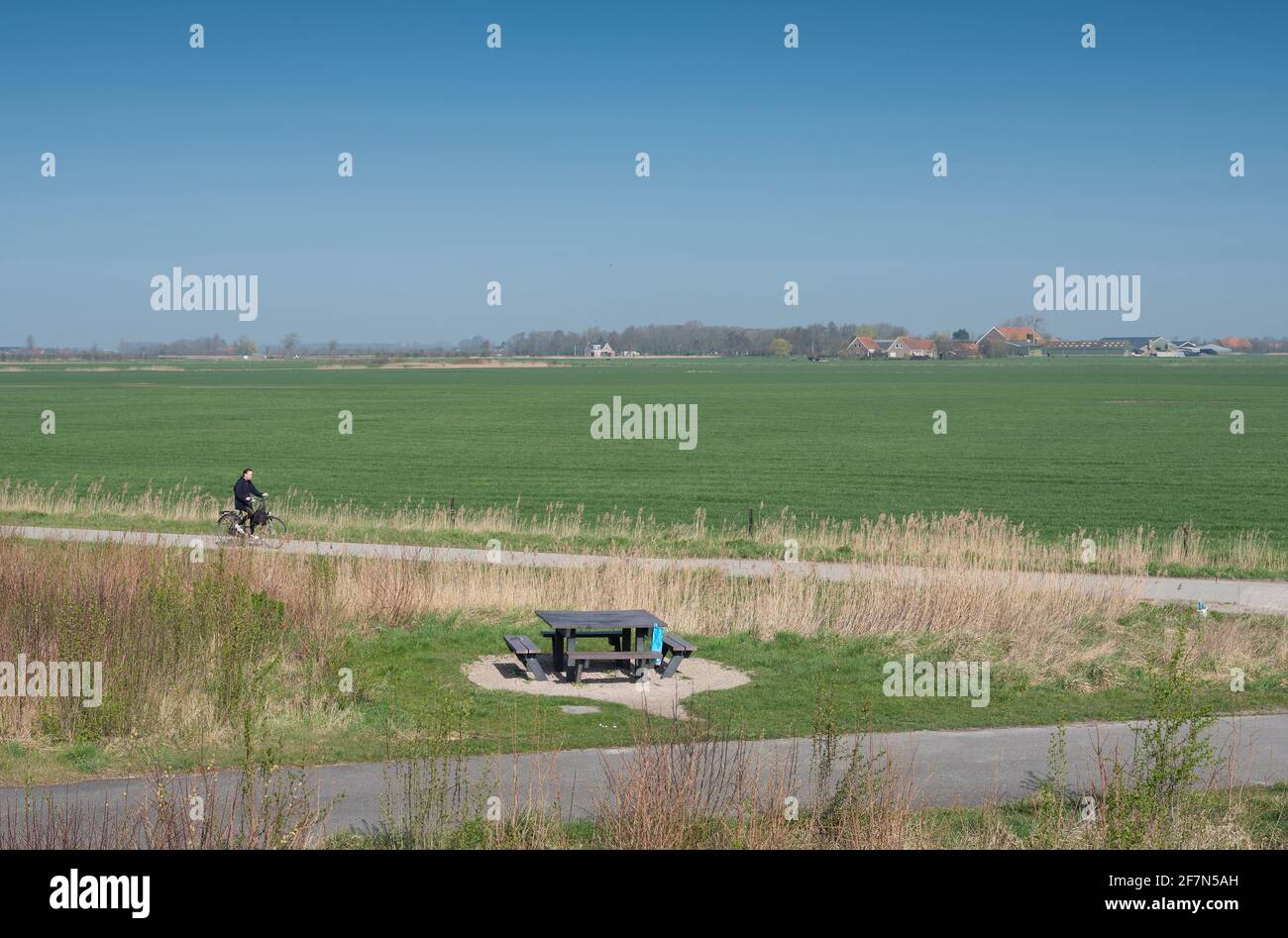 garçon à vélo et route de campagne et fermes à la campagne de walcheren près de middelburg dans la province néerlandaise de zeeland Banque D'Images