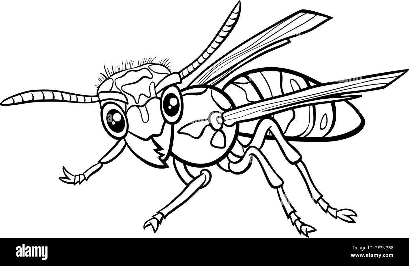 Dessin animé noir et blanc représentant un insecte de la veste yellowjacket ou de la guêpe page de livre de coloriage de personnages d'animaux Illustration de Vecteur