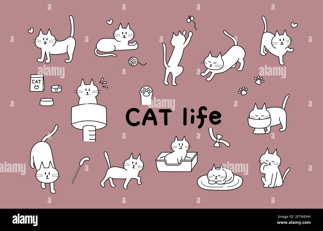 Ensemble de la vie quotidienne du chat. Illustration vectorielle isolée sur fond blanc. Illustration de Vecteur