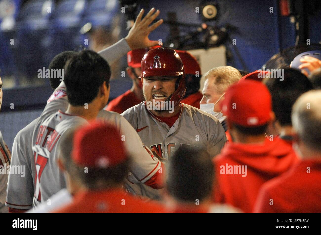 Dunedin, États-Unis. 08 avril 2021. Les coéquipiers des Anges de Los Angeles félicitent Mike Trout (C) dans le dugout après sa course à domicile en solo pendant le cinquième repas contre les Blue Jays de Toronto au TD Ballpark à Dunedin, en Floride, le jeudi 8 avril 2021. Photo de Steven J. Nesius/UPI crédit: UPI/Alamy Live News Banque D'Images