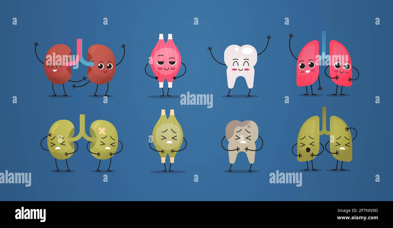 set malsain vs mascotte reins muscle dent poumons caractères anatomie des organes internes du corps humain concept horizontal Illustration de Vecteur