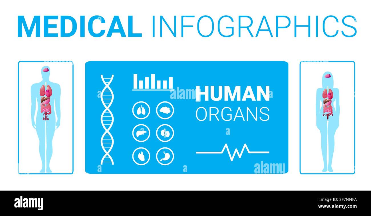 affiche d'infographie médicale sur la structure du corps humain avec femme mâle interne carte du système anatomique des organes horizontale pleine longueur Illustration de Vecteur