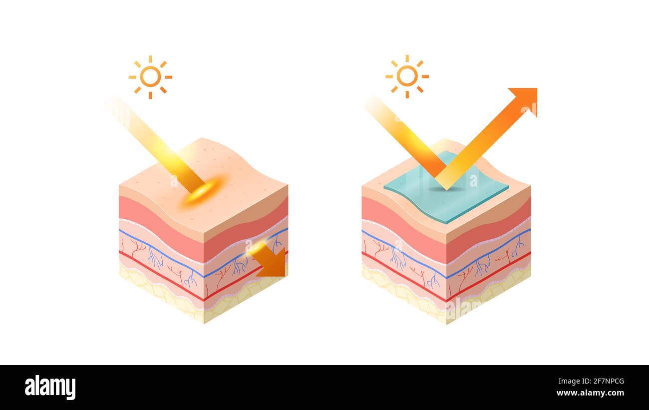 protection et pénètre les rayons uv du soleil dans l'épiderme de section transversale de la peau humaine couches de peau structure soins de la peau concept médical plat horizontal Illustration de Vecteur