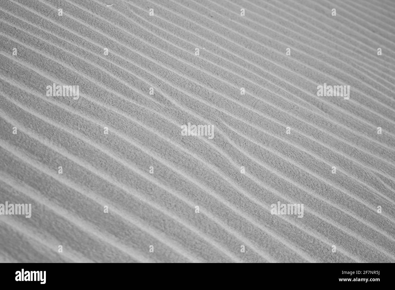 Motif abstrait d'arrière-plan de dunes de sable Banque D'Images