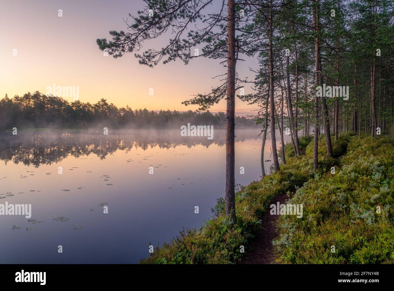 Paysage naturel pittoresque avec brouillard d'humeur et beau lever de soleil à Début de matinée d'été au bord du lac de Finlande Banque D'Images
