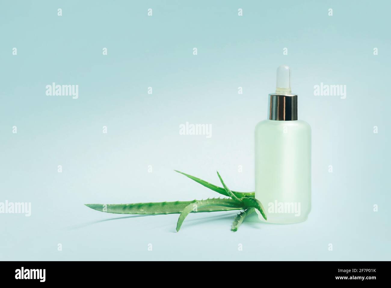 Bouteille d'huile d'aloès fraîche naturelle gel antiseptique sérum liquide agent cosmétique transparent laisse bleu pastel fond. Copie de cosmétiques naturels biologiques Banque D'Images
