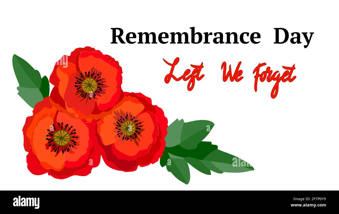 Le jour du souvenir ne l'oublions pas. Fleur de pavot rouge symbole international de paix sur fond blanc. Idéal pour les affiches de conception, la bannière, l'en-tête pour websi Illustration de Vecteur