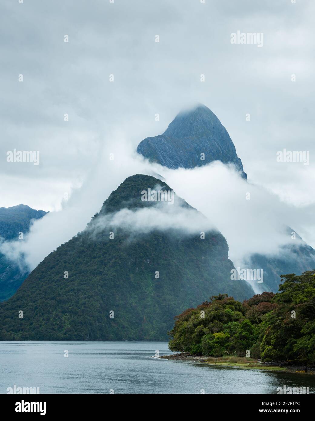 Mitre Peak avec floraison forêt de Southern Rata au premier plan, Milford Sound. Format vertical Banque D'Images