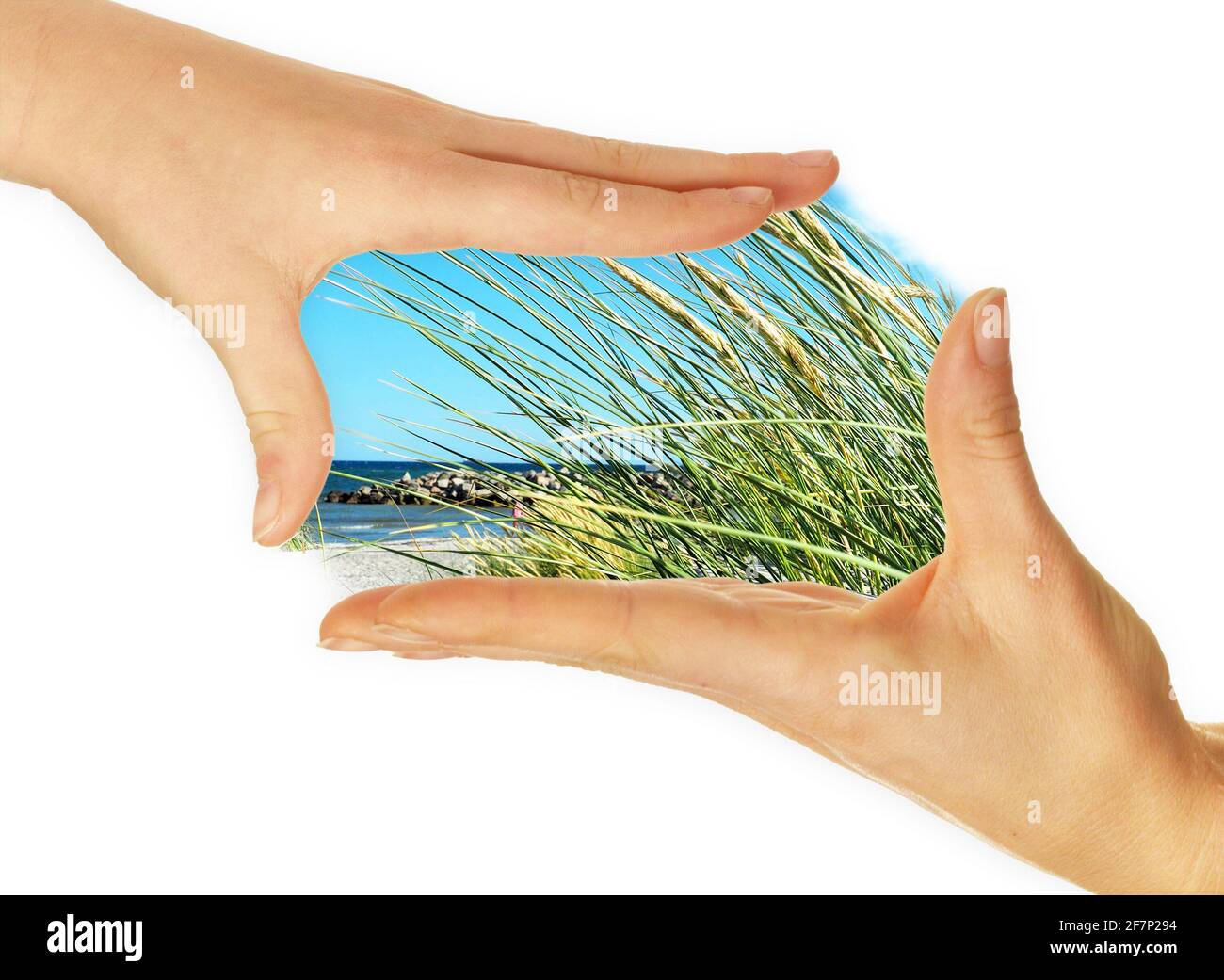 Vacances en famille à la plage - mains de présentation Banque D'Images