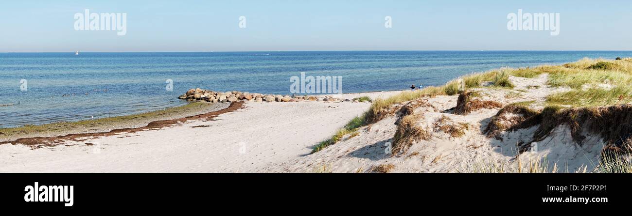 Plage de la mer Baltique en Allemagne - gazon de mer avec côte Ligne Banque D'Images