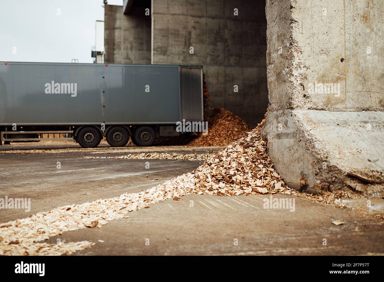 le camion décharge des tonnes de déchets de bois. la sciure et les copeaux sont stockés pour traitement ultérieur. montagne de déchets de bois Banque D'Images