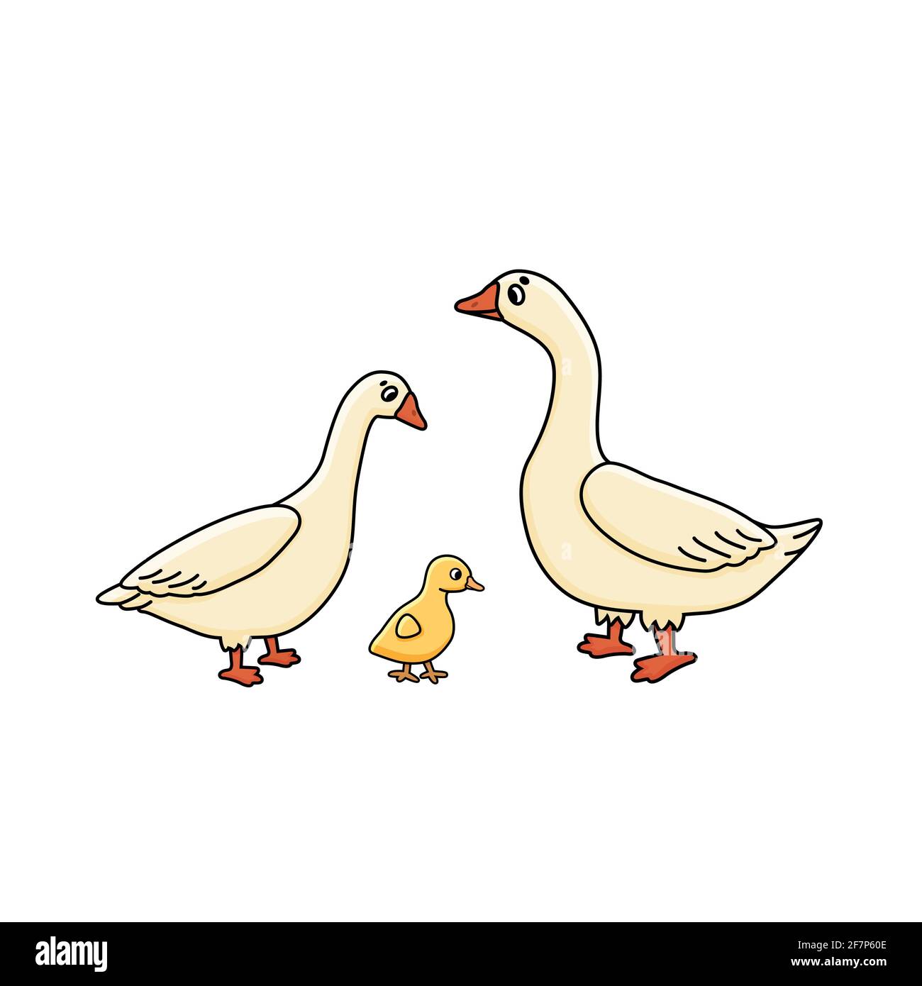 Vecteur mignon dessin animé Doodle famille Goose Anser. Gosling blanc mâle, femelle et jaune pour bébé. Illustration isolée dessinée à la main sur blanc Illustration de Vecteur