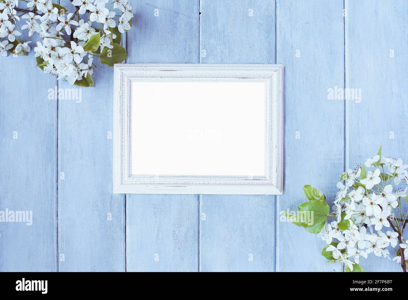 Cadre photo vide horizontal vierge sur fond rustique bleu avec fleurs printanières. Banque D'Images