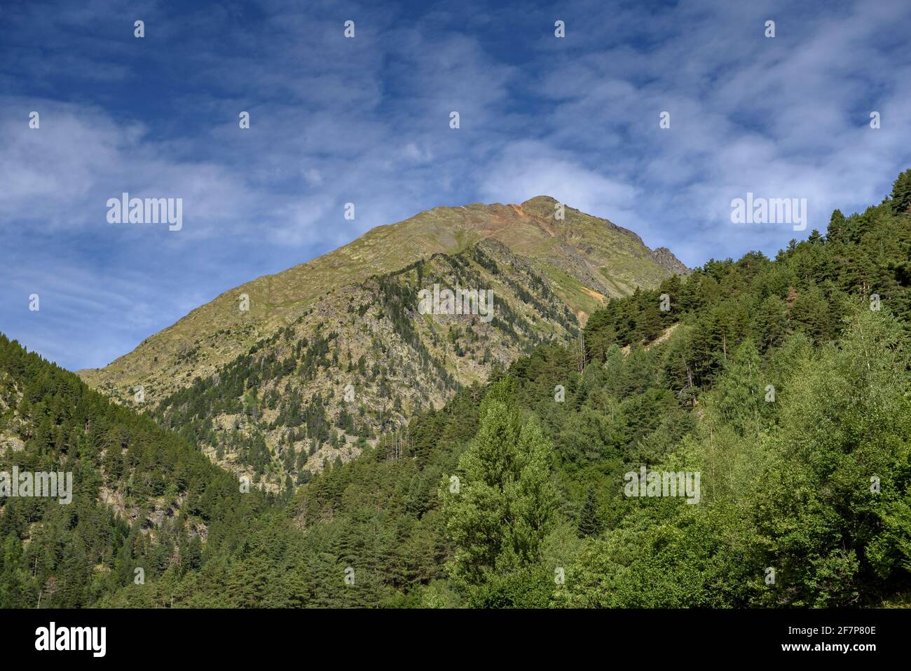 Alt del Comapedrosa montagne et forêt dans la vallée sur le chemin jusqu'au sommet (Andorre, Pyrénées) ESP: Alt del Comapedrosa y bosque del valle Banque D'Images