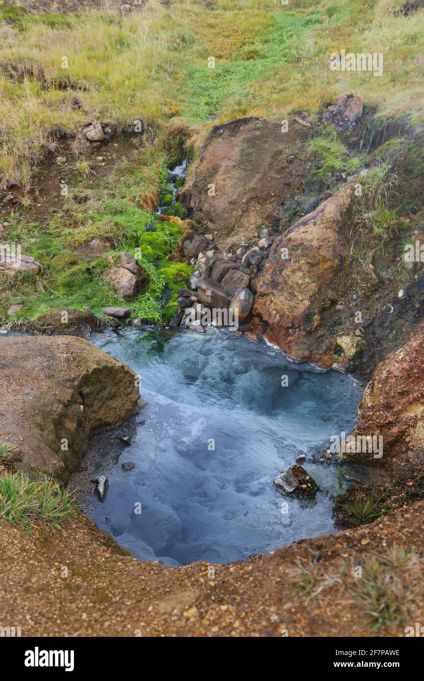 Piscine bleu grisâtre chaude dans la vallée de Reykjalur - une vallée géothermique avec rivière, chute d'eau, herbe verte, vapeur, sources chaudes, sources de soda, piscines de boue Banque D'Images
